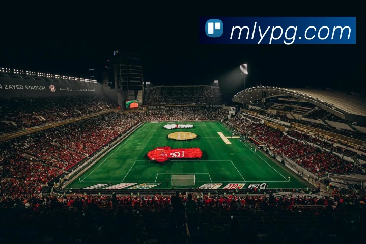 米兰milan官网服务体系